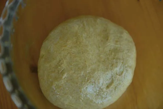 Whole wheat pizza dough before rising