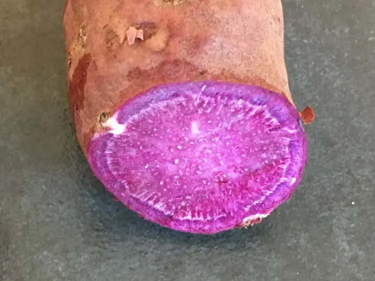 Purple yam ube