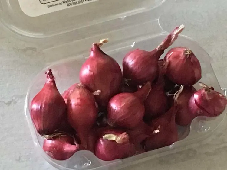 Pearl Onions - purple