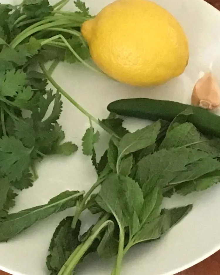 Ingredients for Cilantro Lemon Chicken Skewer mariande