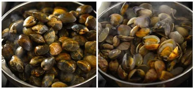 Steaming clams 