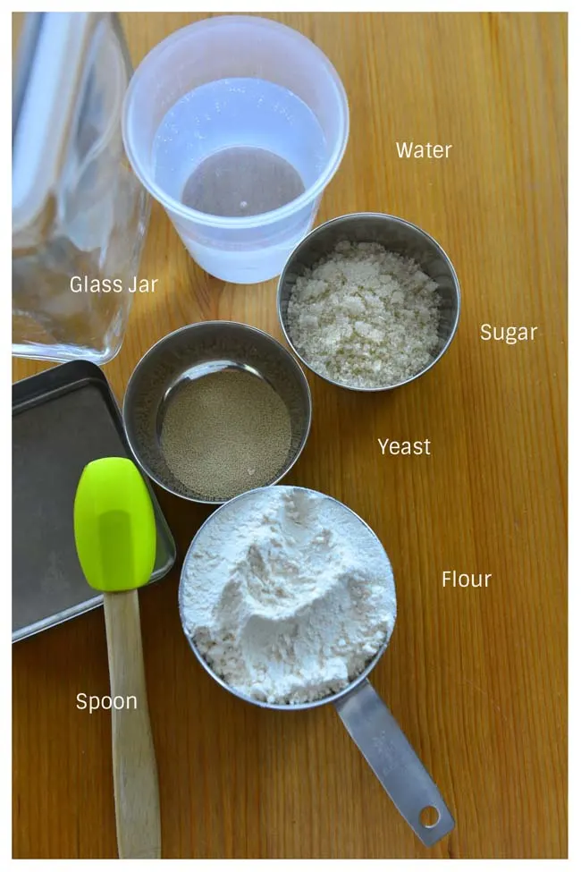 Ingredients to make herman starter