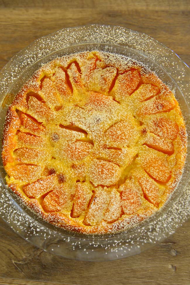 Apricot Clafoutis Baked and cooled with a light dusting of powdered sugar