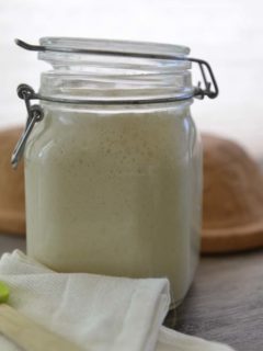 Fully active sourdough starter - made with just water and flour