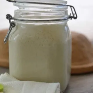 Fully active sourdough starter - made with just water and flour