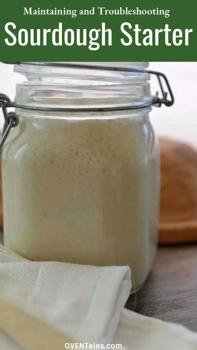 How to take care of sourdough starter