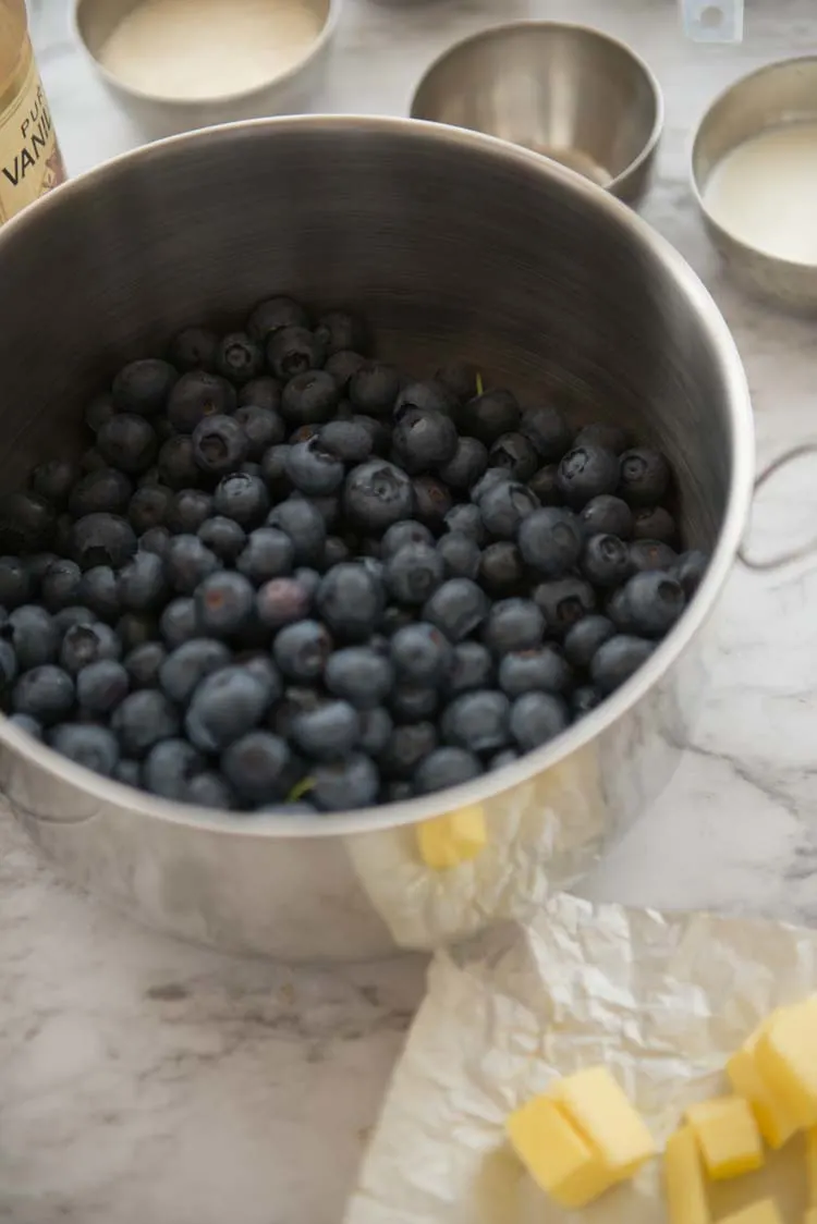 Blueberries in a bowl, with the remaining ingredients to making a cobbler set around the bowl.